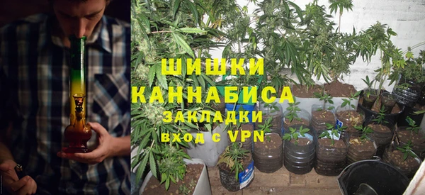 молекула духа Балахна