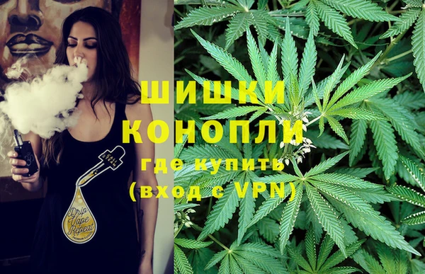 молекула духа Балахна