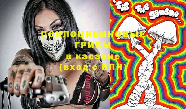 молекула духа Балахна