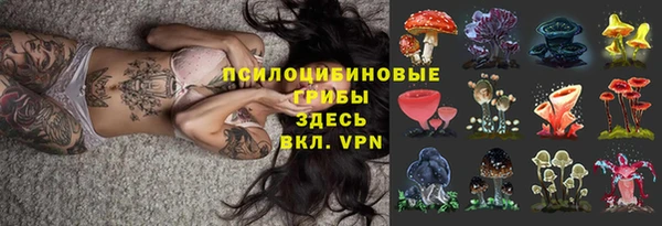 молекула духа Балахна